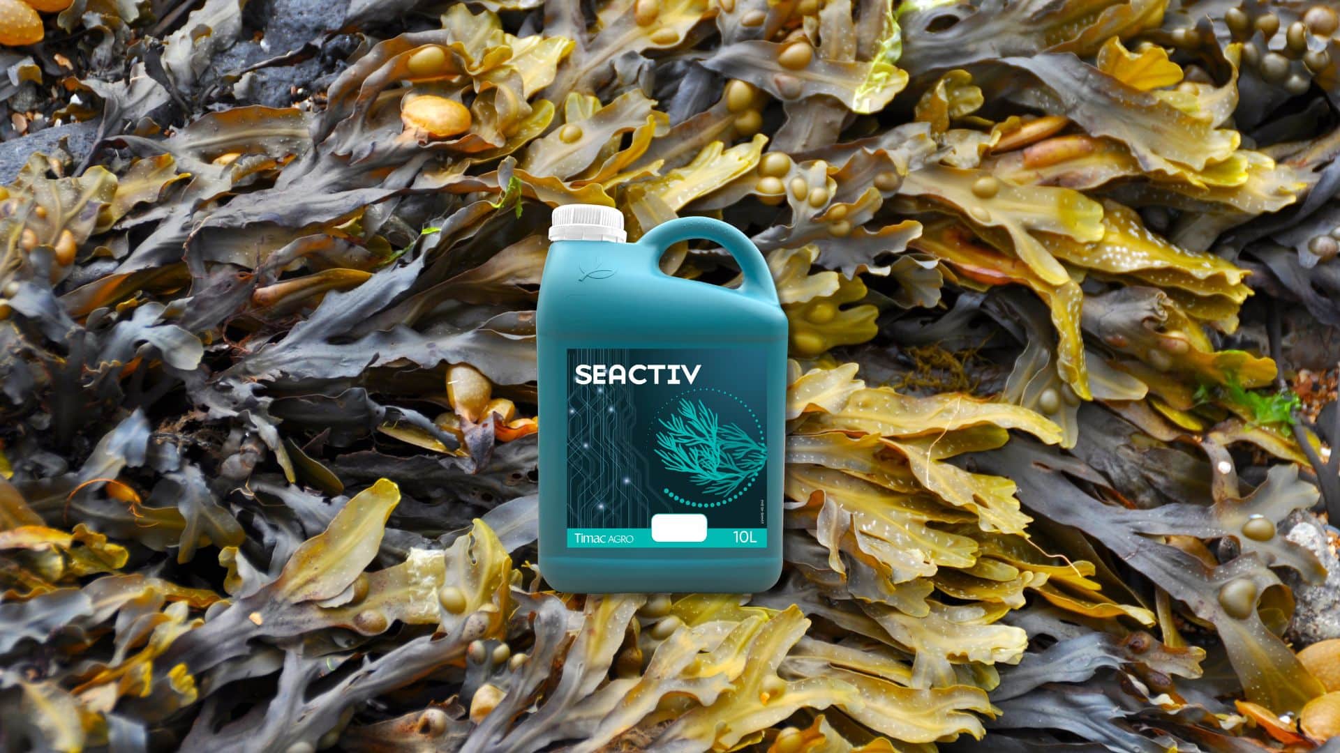 Seactiv-Διαφυλλικό