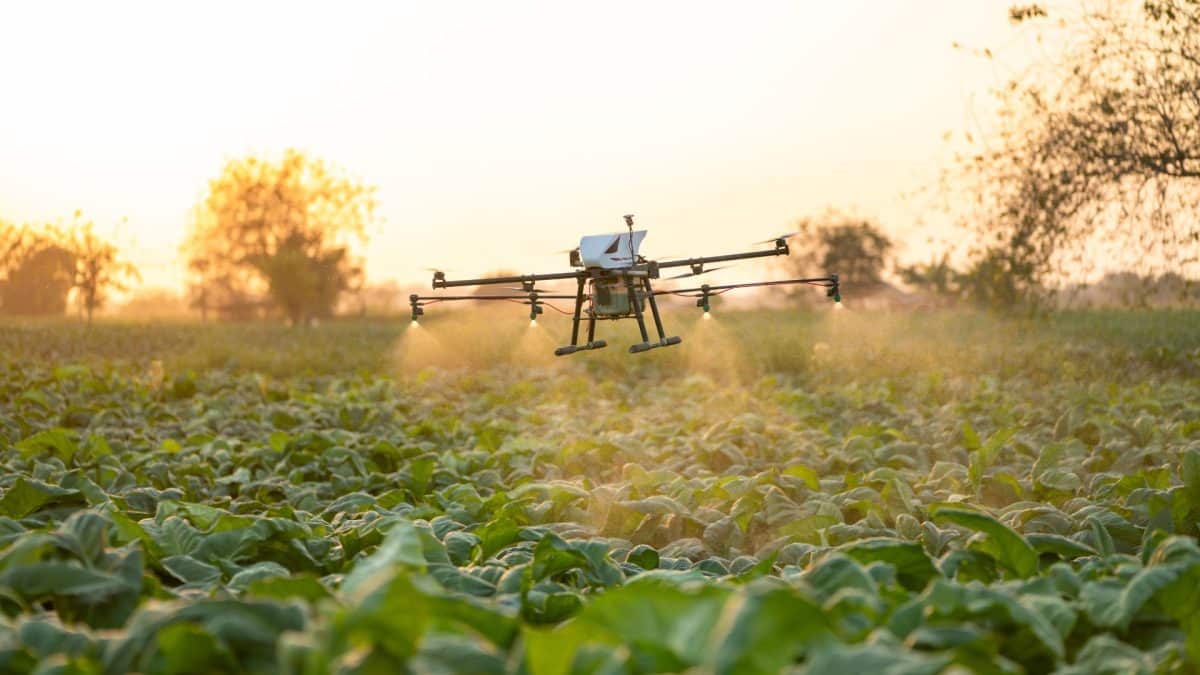 drone διαφυλλικός ψεκασμός