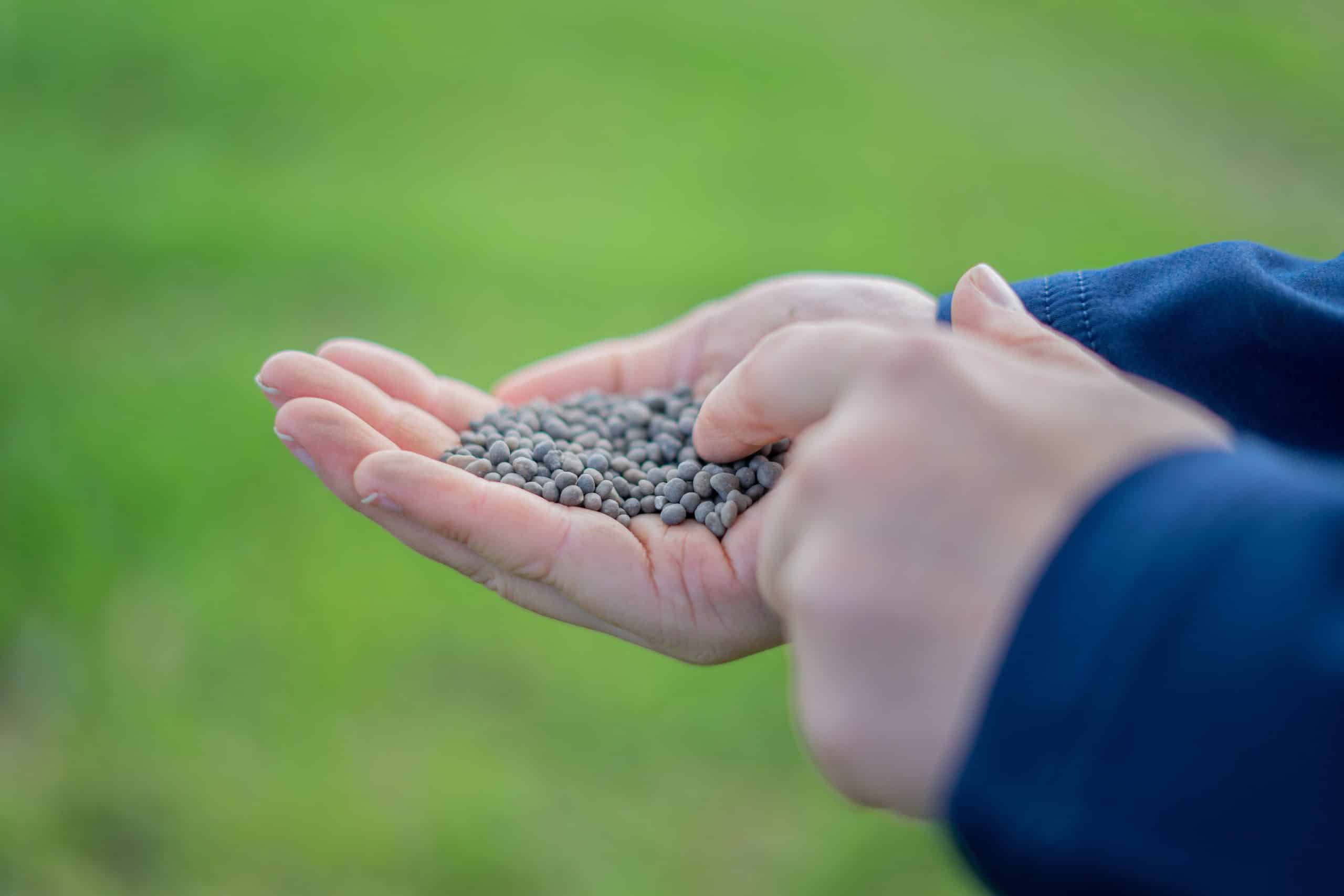 granules closeup saintmeloirdesondes france