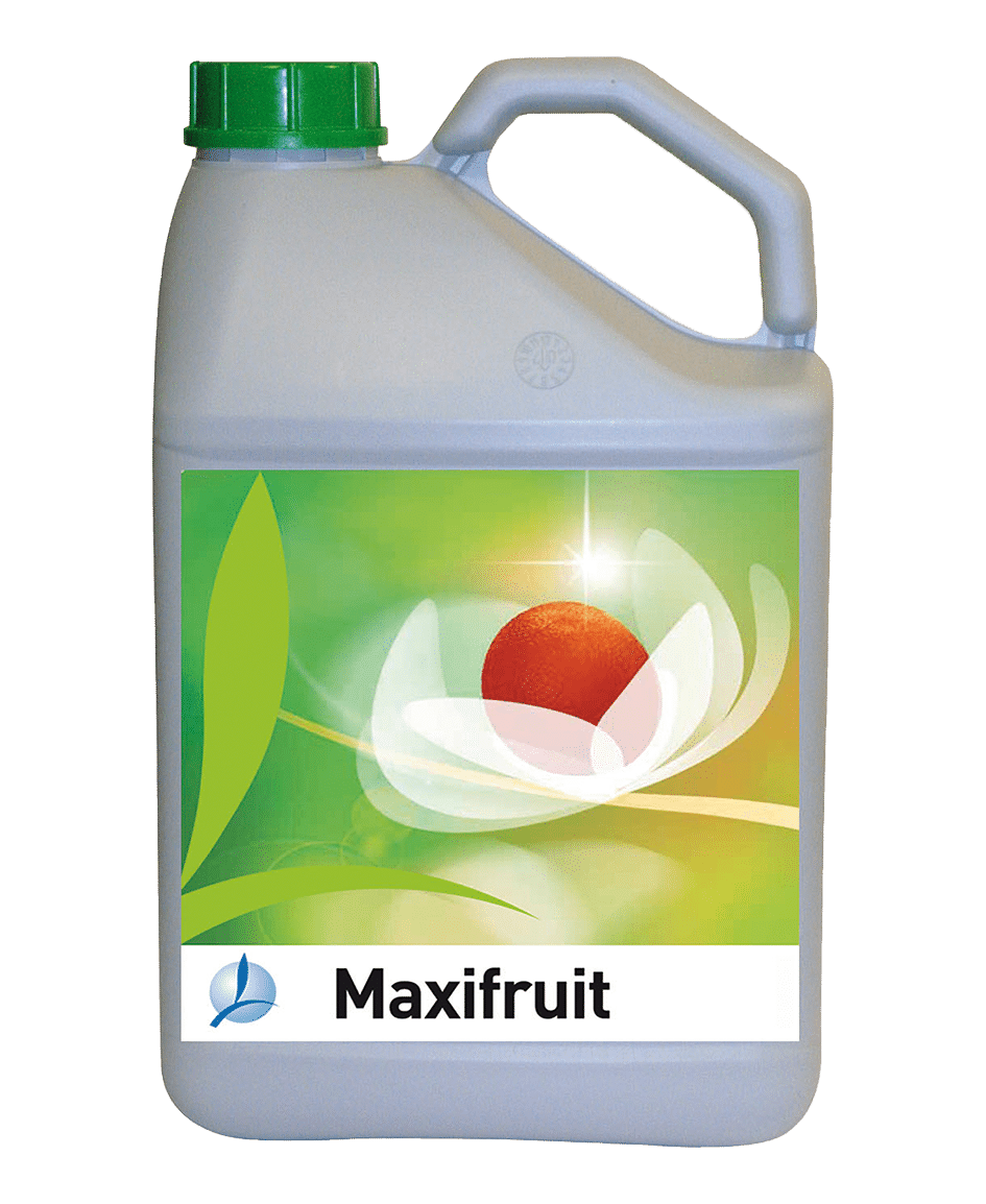 MAXIFRUIT