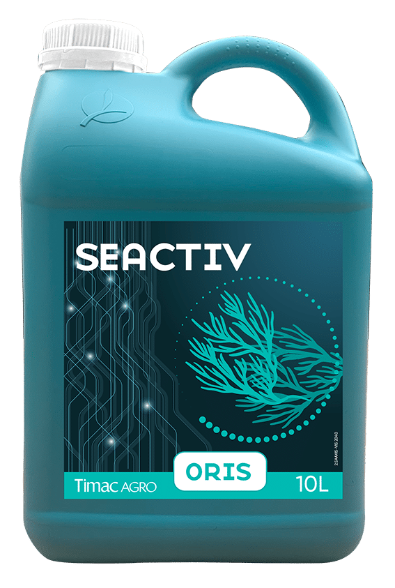 SEACTIV ORIS