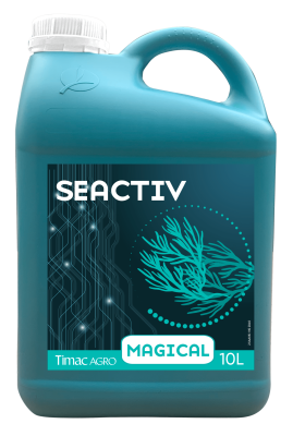 SEACTIV MAGICAL