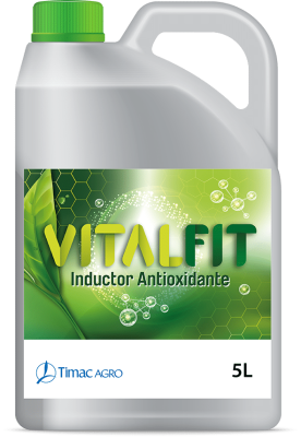 VITALFIT