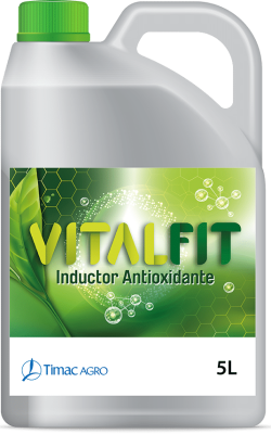VITALFIT